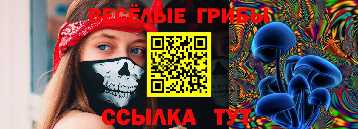 Галлюциногенные грибы Cubensis  Вход с VPN  Узловая 